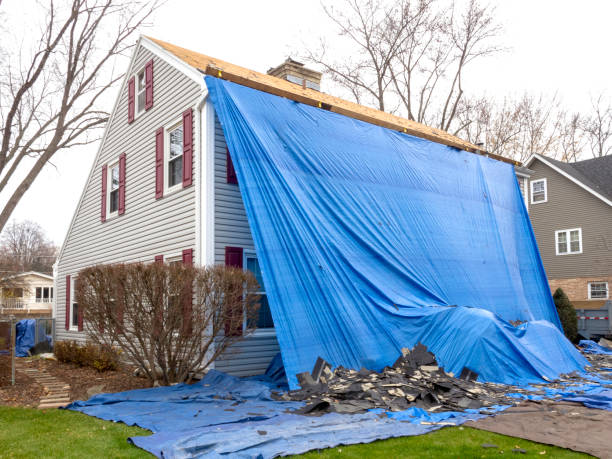 Best James Hardie Siding  in Greenfield, TN