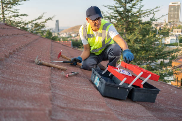 Best Siding Replacement  in Greenfield, TN